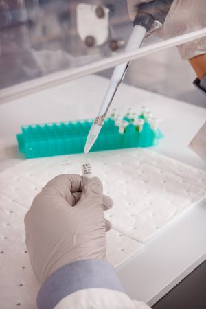 Identyfikacja laboratoryjna w dobie koronawirusa